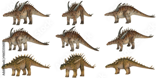 Illustration of Stegosaurus dinosaurs in various poses.