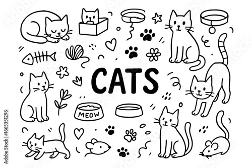 Playful cat doodles: cute feline line art with whimsical elements