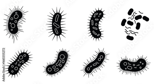 a collection of various bacteria illustrations in different shapes and sizes