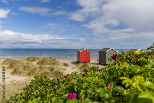 Fotografie Strand in Findhorn mit bunten hölzernen Häusern