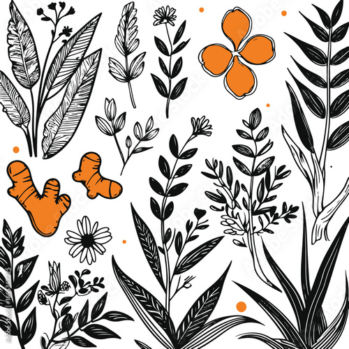 Bold black and white doodle of natural medicinal plants, vector illustration, herbs used in Ayurvedic and herbal remedies, isolated elements
