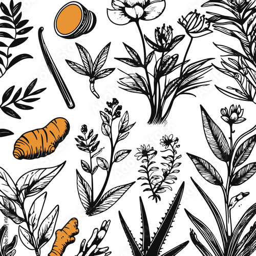 Bold black and white doodle of natural medicinal plants, vector illustration, herbs used in Ayurvedic and herbal remedies, isolated elements 1