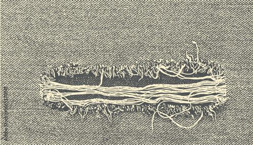 Detailed view of a tear in denim fabric showing the internal fibers and texture. It captures the intricacies of the fabric's construction, with a raw, exposed look.