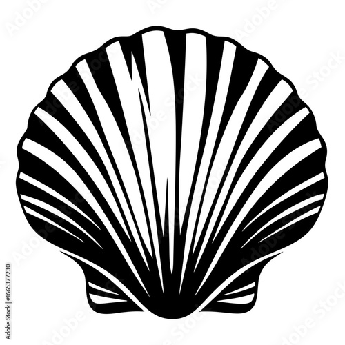 Monochrome minimalist rendition of a scallop shell with radiating lines