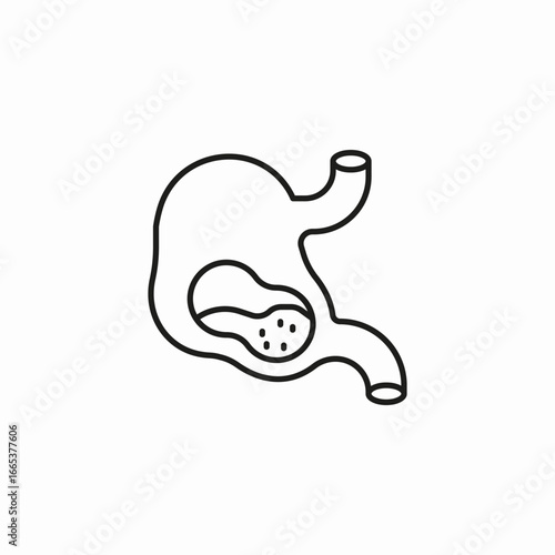 human stomach organ icon sign vector