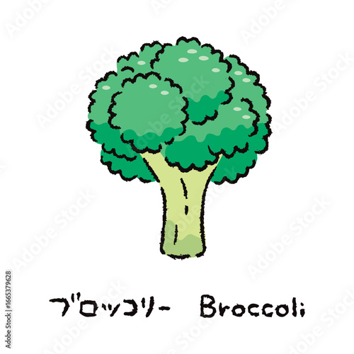 手描きのブロッコリー2_名称入