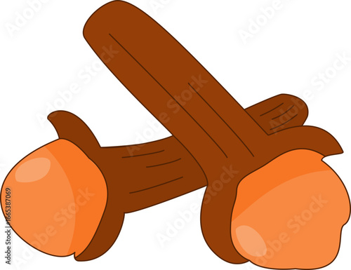 Dry Spice Cloves Isolated