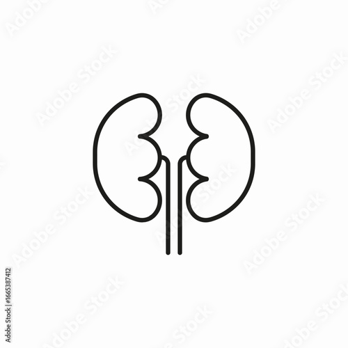 human kidneys organ icon sign vector