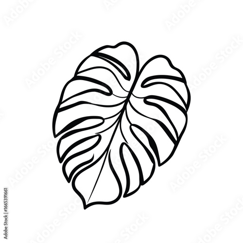 Minimalist Line Art of Monstera Leaf with Fenestrations – Black and White Tropical Botanical Illustration