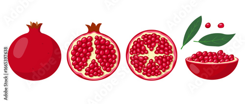 Fresh tropical Pomegranate fruit icons. Whole and half pomegranate different view, seeds and leaf. Organic fruit for juice or vitamin healthy food. Vector illustration isolated on white background.