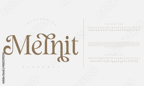 Luxury alphabet letters font and number. Typography elegant wedding classic lettering serif fonts decorative vintage retro concept. vector illustration