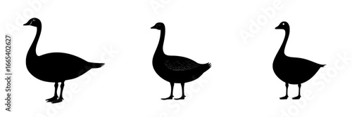 A black silhouette of a goose is shown isolated on a white background, representing a domestic animal icon and a farm bird