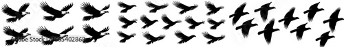 Icons of eagles are depicted in flight with their wings spread wide, representing modern birds of prey, including raptors like eagles, falcons, and hawks, in editable form