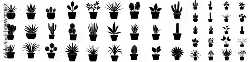 Nine potted plants are represented as houseplants, icons, silhouettes in black and white with a simple design and illustration of bot