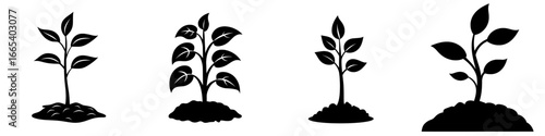 The Seedling Sprout Growth Icon is a simple black and white icon that depicts a seedling sprouting from the ground, symbolizing new beginnings, growth, and development