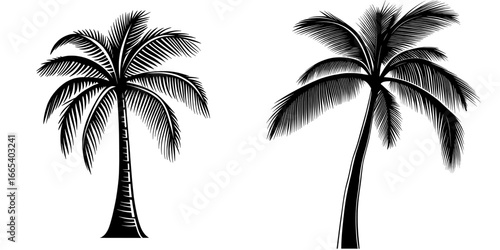 A stylized black palm tree icon embodies the essence of a tropical paradise, conjuring up emotions of summer getaways, serene beach experiences, and far-off exotic locales