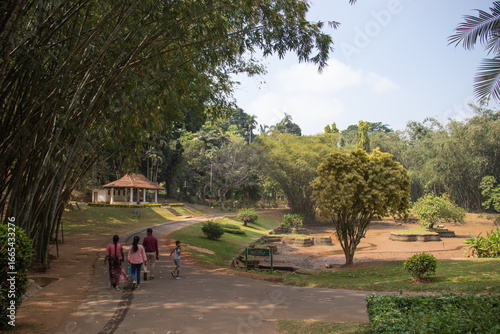 Kendi botanical garden, Sri Lanka 