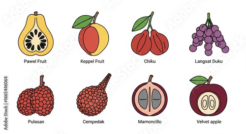 Simple Vector Fruit Set-15.eps