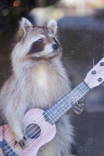 Funny display of a taxidermy raccoon with a small pink guitar, resembling a whimsical musician figure
