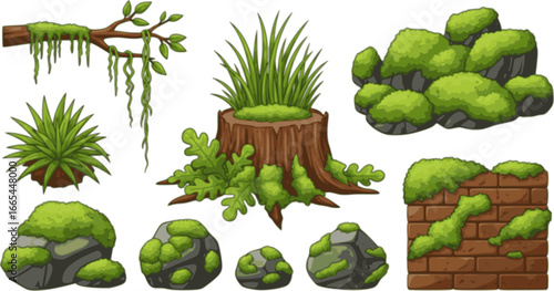 Green moss and lichen set. Swamp plant and liana hanging on forest tree branch, grass and oakmoss growth on brown stump and brick wall, mossy rocks and stones collection cartoon 