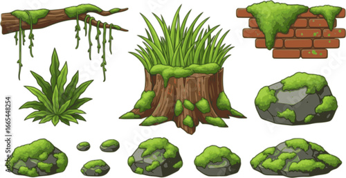 Green moss and lichen set. Swamp plant and liana hanging on forest tree branch, grass and oakmoss growth on brown stump and brick wall, mossy rocks and stones collection cartoon 