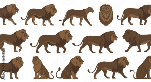 Comprehensive set of lion vector illustrations, featuring a male lion with a full mane and a lioness in different dynamic and static poses