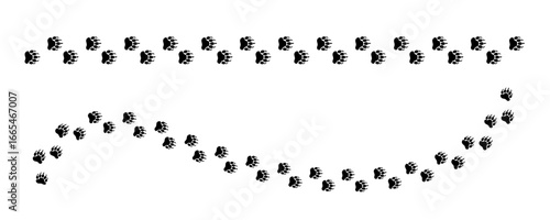 Vector illustration of bear footprint tracks and paw prints of a wild animal like a grizzly or teddy bear, featuring a wavy path design element perfect for a logo, banner, or greeting card.