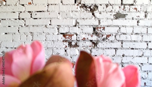 Soft pink flowers softly focused against a distressed white brick wall.