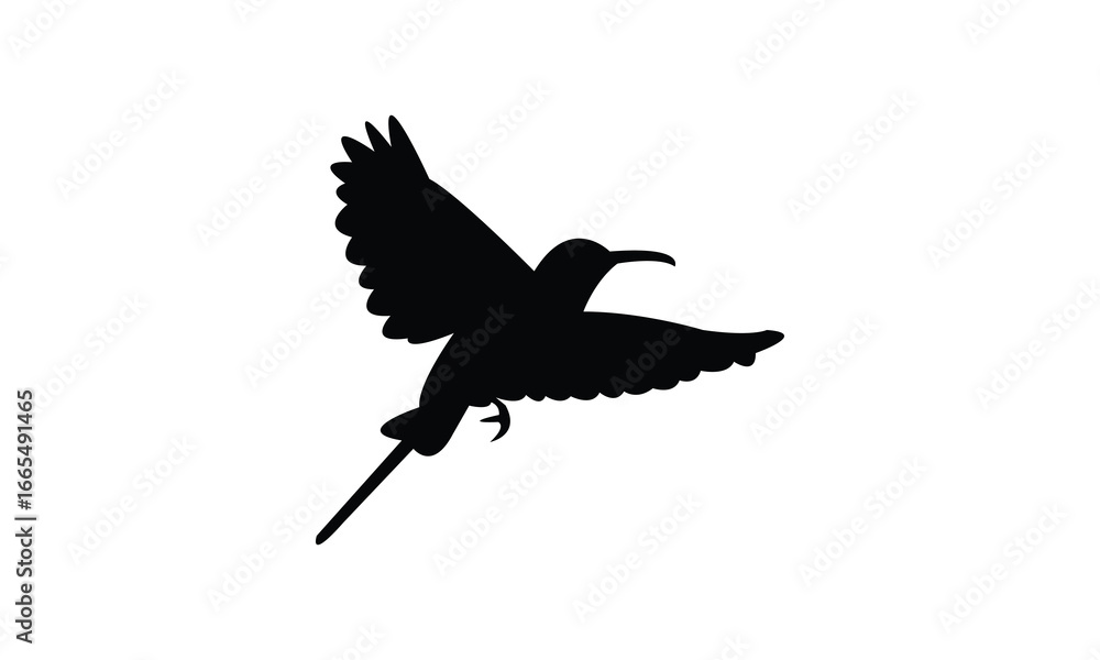 Fototapeta premium Amethyst sunbird bird Silhouette Design And Vector Illustration. 