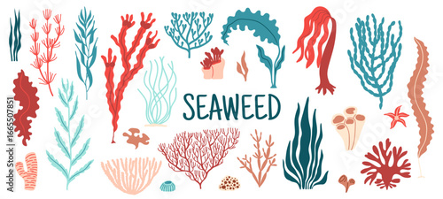 Underwater aquarium seaweed and sea algae plants. Vector set of colorful coral reef tropical wildlife biodiversity. Ocean undersea water life isolated marine weeds, wracks, laminaria or kelp flora