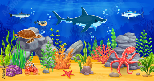 Ocean underwater game background with sea animals. Vector location level map landscape with cartoon shark, fish shoals and turtle, tuna, crab and octopus swimming between seaweeds on the seafloor