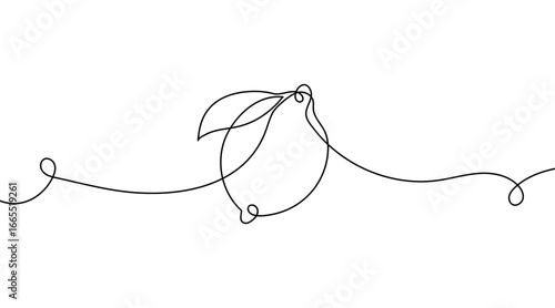 Continuous one line drawing of lemon and lime fruits. Minimal vector illustration in simple linear style. Fresh citrus fruit design element for food, health, and decor.