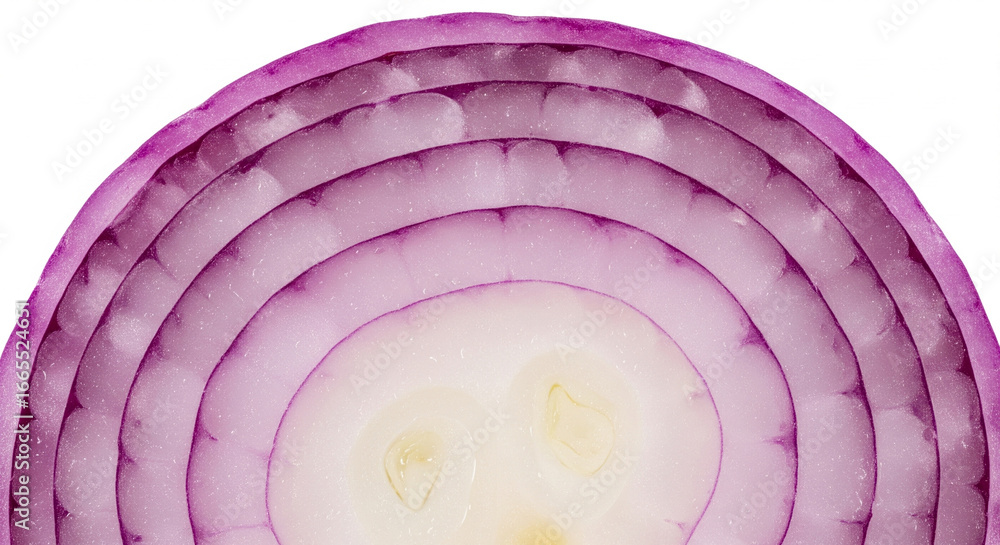 Fototapeta premium Macro close-up of purple onion slice with visible rings and layers, sharp detail texture, isolated on white background