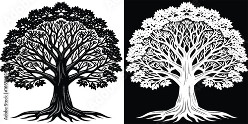 Majestic, ancient tree with intricate branches and roots, presented in striking black and white contrast