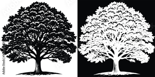 Bold silhouette of a majestic oak tree with sprawling branches, presented in striking black and white contrast for versatile design use.
