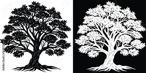 Stunning silhouette of a mature, leafy tree with intricate branches and visible roots against contrasting backgrounds