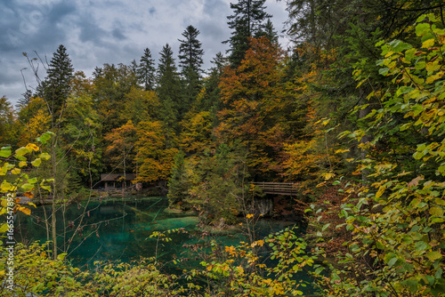 Blausee Switzerland, nature landscape at blue lake in autumn season