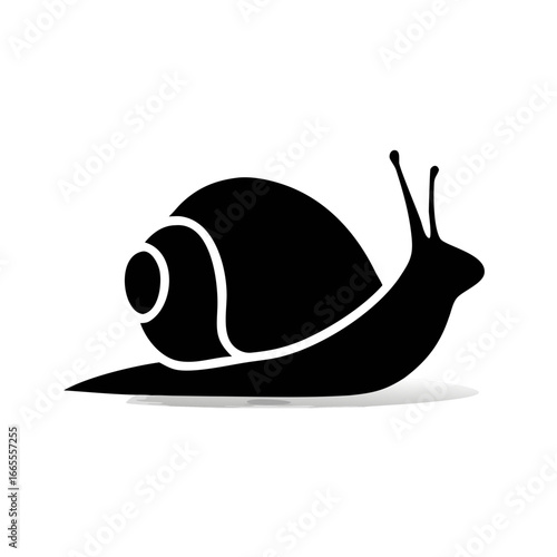 Snail icon isolated on white background. Simple flat snail shell vector pictogram.
