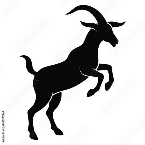 Black goat leaping silhouette white animal