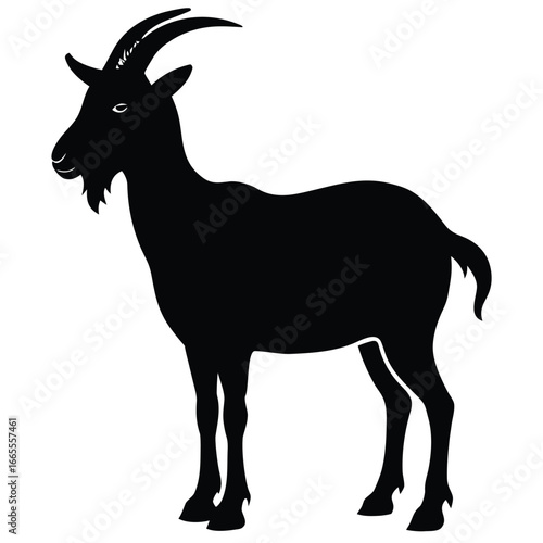 Black goat silhouette standing white animal
