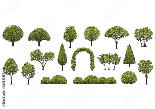 Collection of various green trees and shrubs, isolated on white background, ideal for design elements.