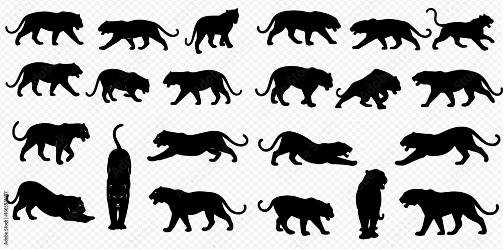 Obraz premium A diverse collection of black panther silhouettes showcasing various dynamic movements and powerful poses against a transparent background.