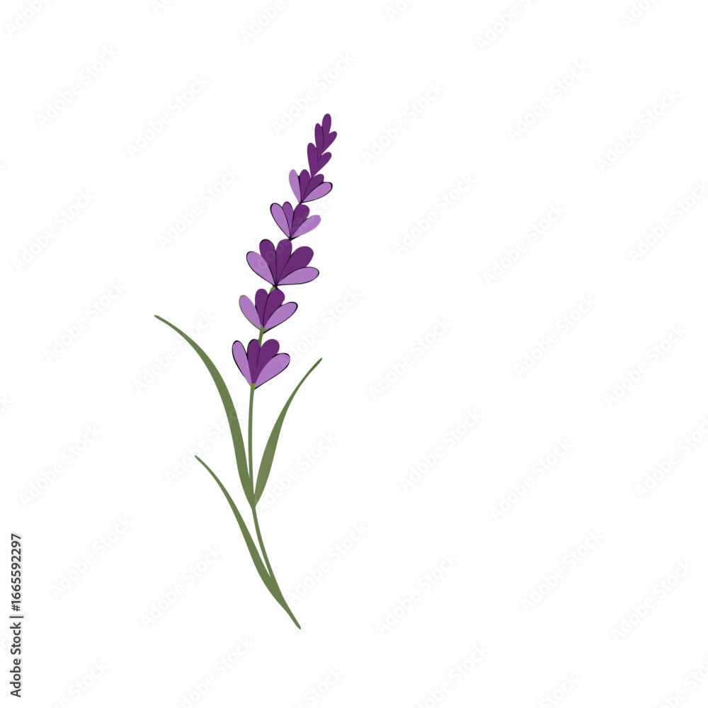 Obraz premium Lavender Logo Template vector symbol nature 