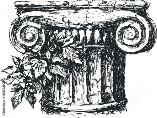 Ancient Ionic Column Capital with Floral Garland Sketch