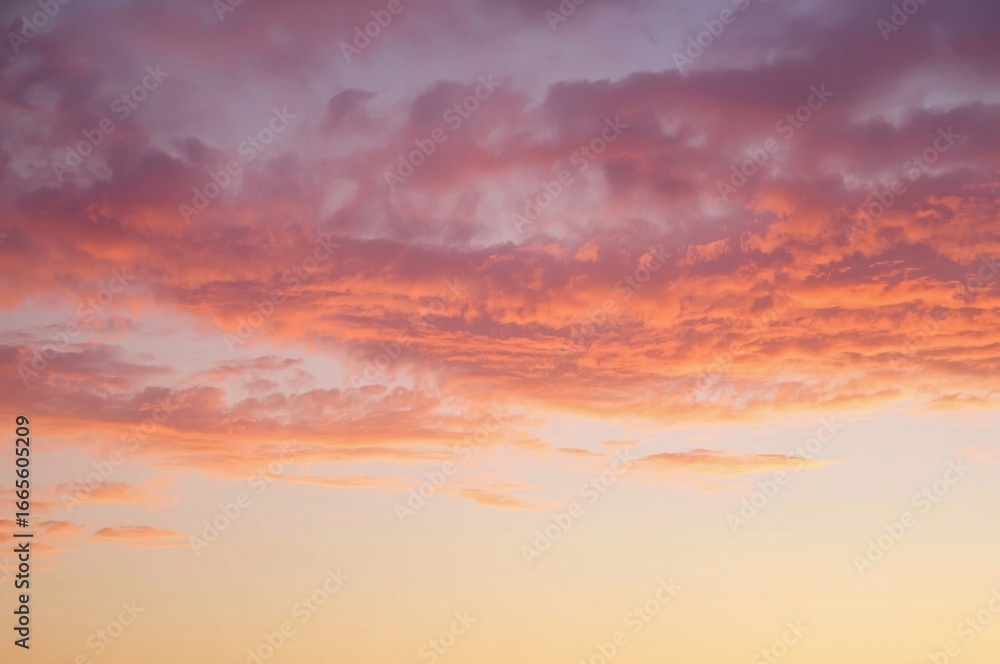Fototapeta premium Pink sunset cloudscape, evening sky, peaceful background, design element