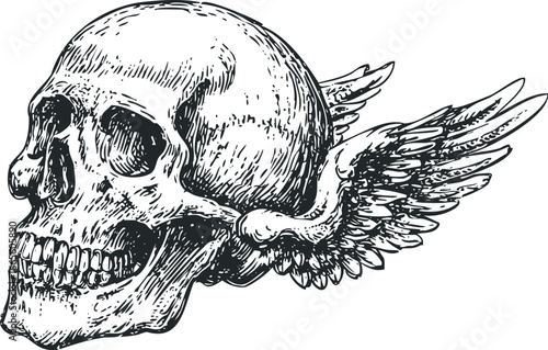 Wallpaper Mural Hand Drawn Skul With Wings Graphic Torontodigital.ca