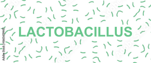 Illustration of lactobacillus vector, good bacteria and beneficial microorganisms. Lactobacillus background. Infographic for poster background, medical, educational and scientific purposes.