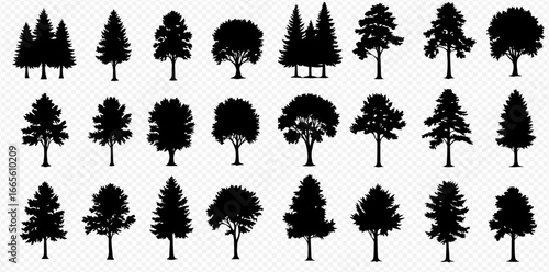 Diverse collection of black tree silhouettes representing various coniferous and deciduous species on a transparent background.