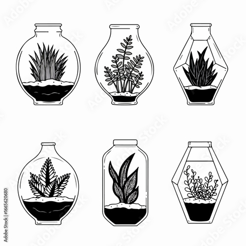 Hand-drawn black and white terrariums with various plants, a set of six unique botanical illustrations perfect for nature and home decor themes.