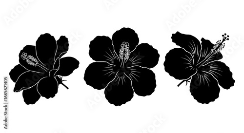 Three hibiscus flowers presented as solid shapes with visible stamens and petal details in a row